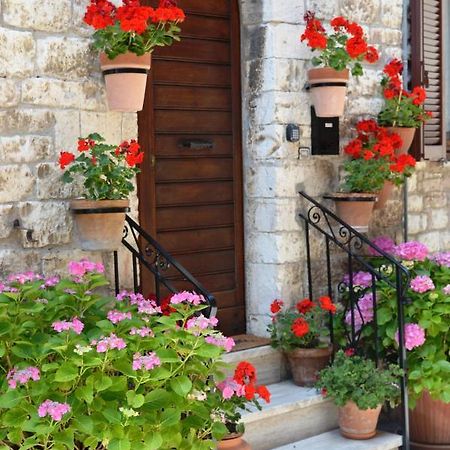 Casa Gentile Apartment Асизи Екстериор снимка